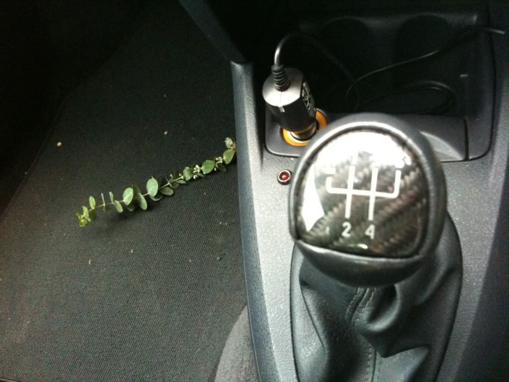 e31bbcc1.jpg e31bbcc1.jpg