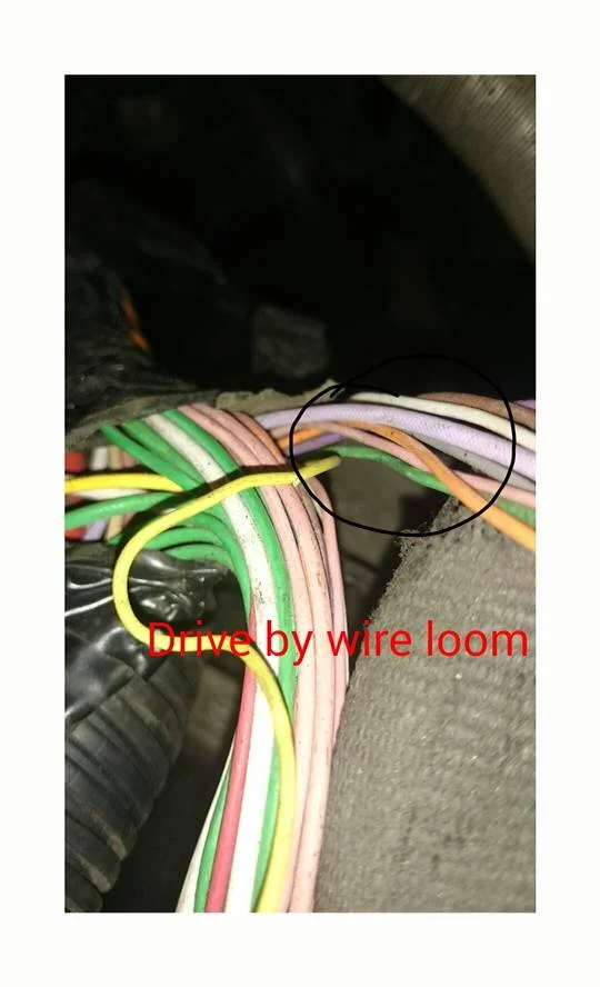 e6a9a98e8bfe205b46900fe1f1ad4ec8.webp