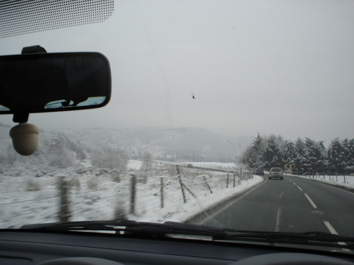 e6d24f01.jpg