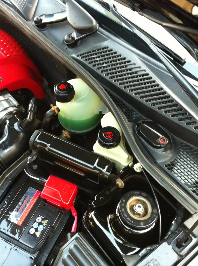 e7b796c6.webp