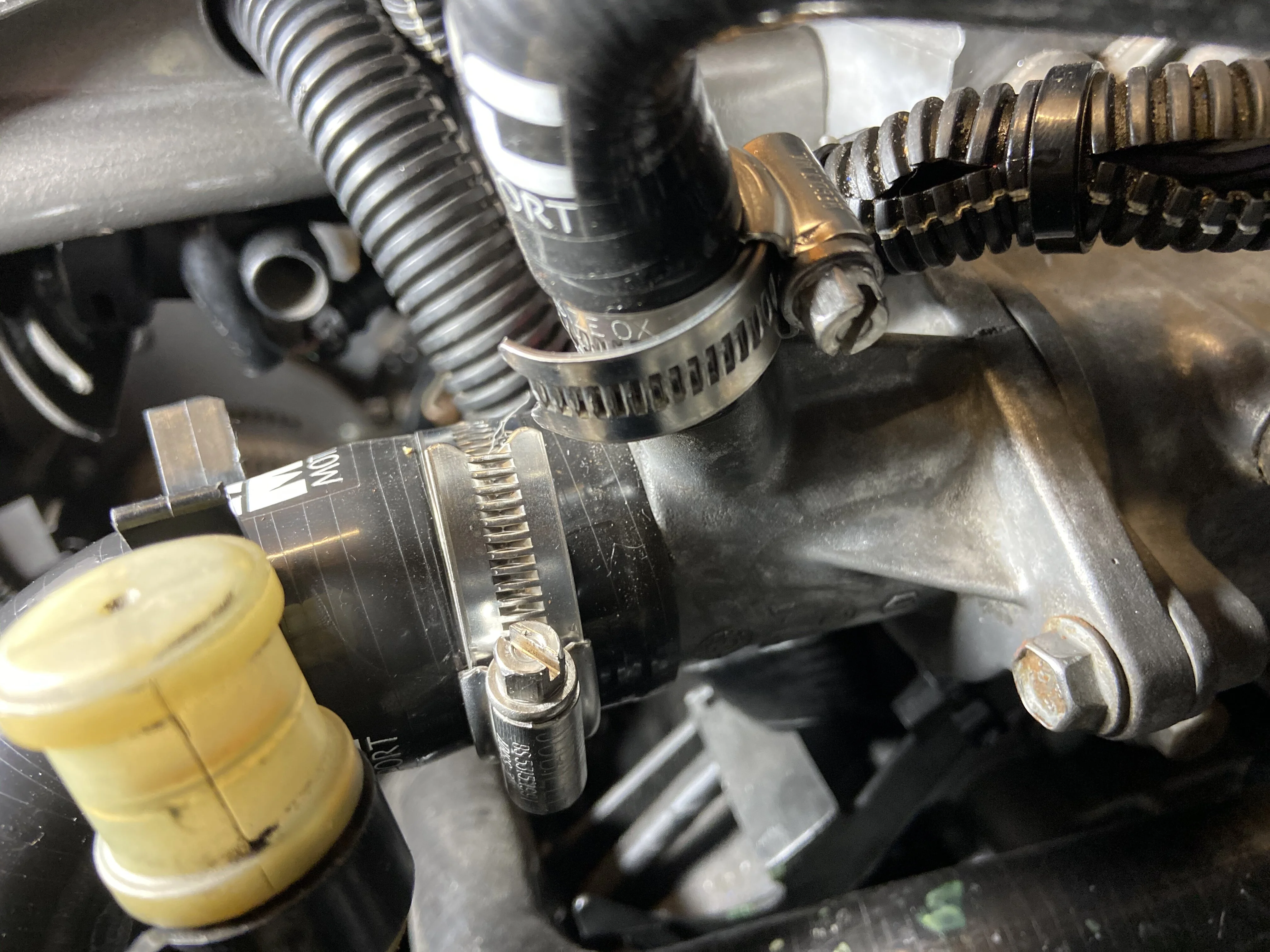 E94C3FCA-3099-4109-9AE4-7C52B904AB11.jpeg