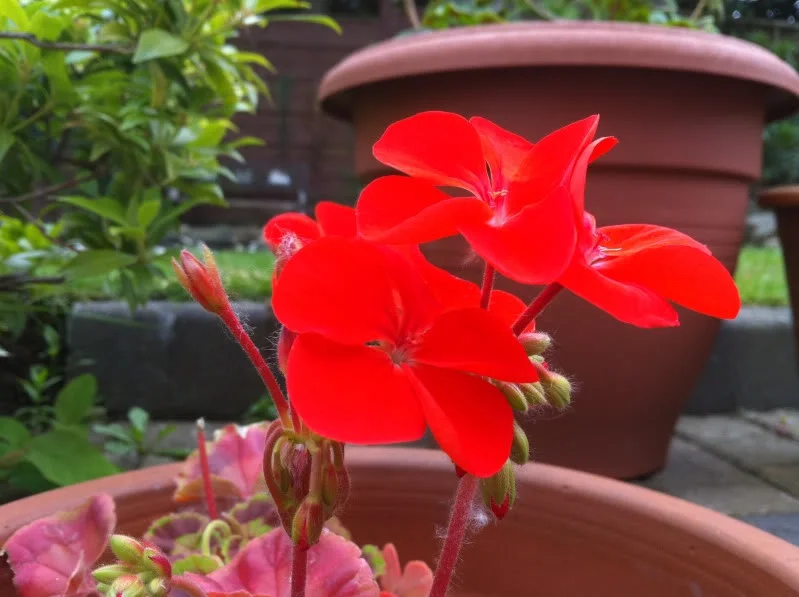 eab6df47.webp