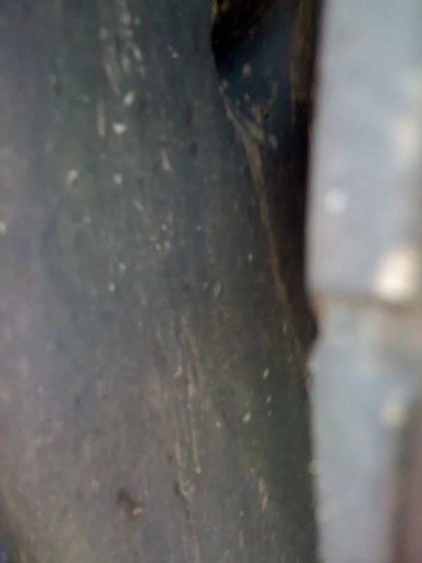 eb261254.webp
