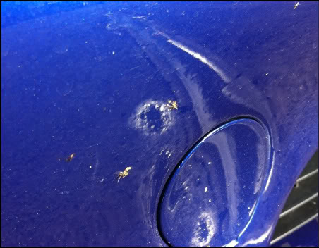 efbfca23.jpg efbfca23.jpg