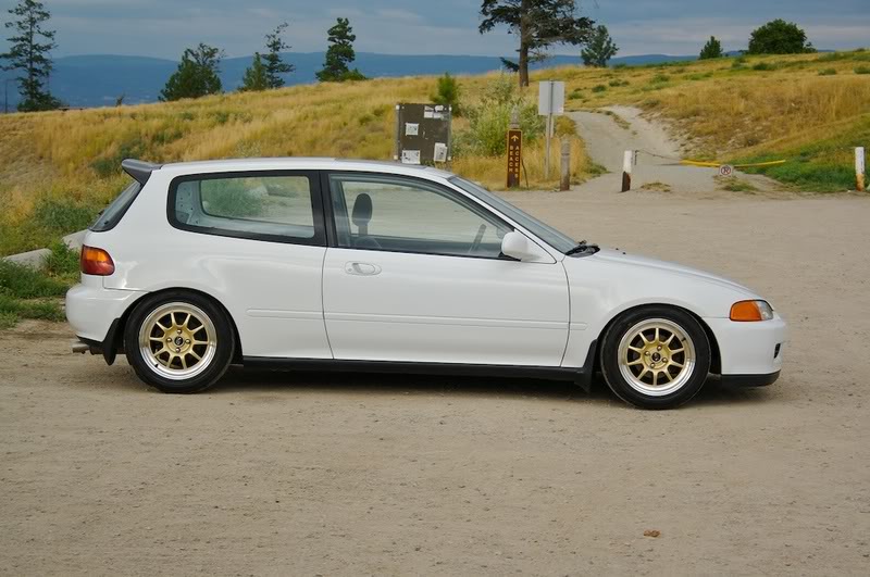 eg5.jpg