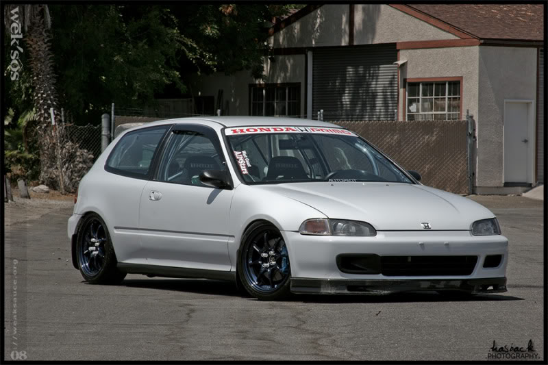 eg5.jpg
