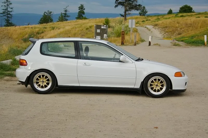 eg5.webp