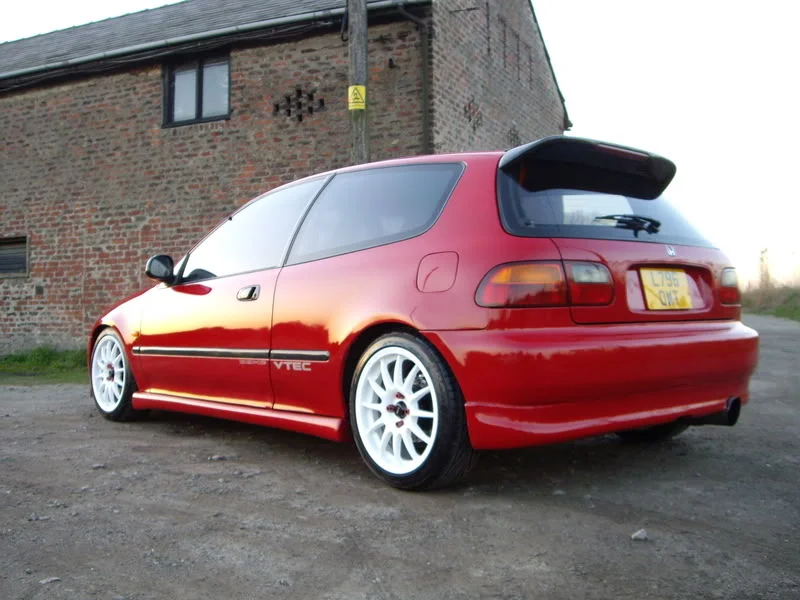 EG5.webp