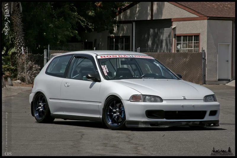 eg5.webp
