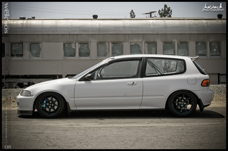 eg6.jpg