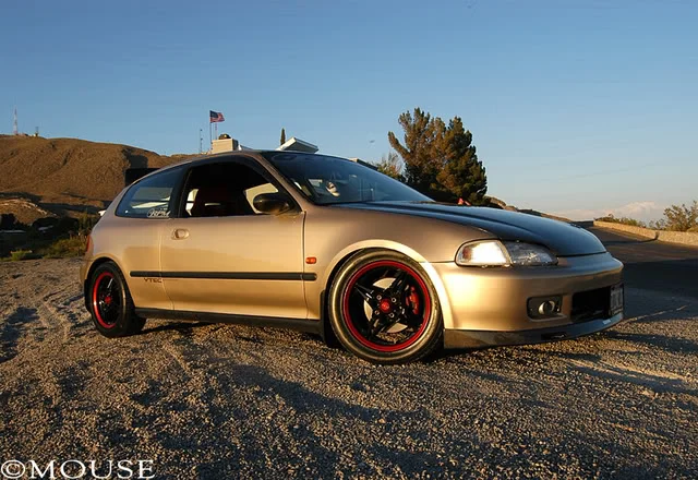 eg6.webp