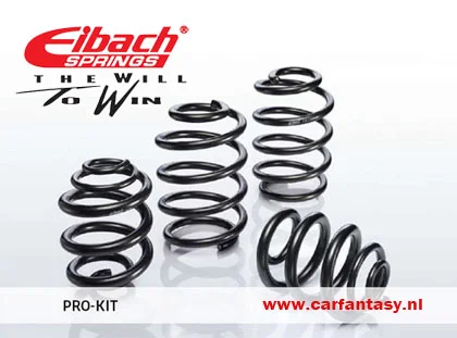 eibach_prokit.webp