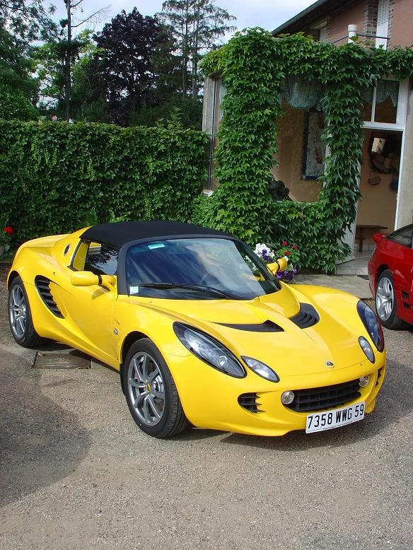 elise.webp