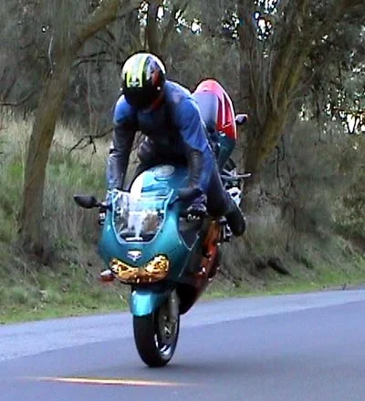 Endo.webp