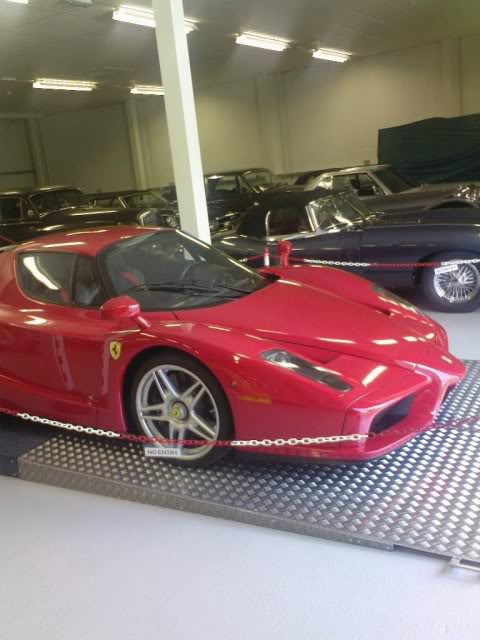 enzo.jpg
