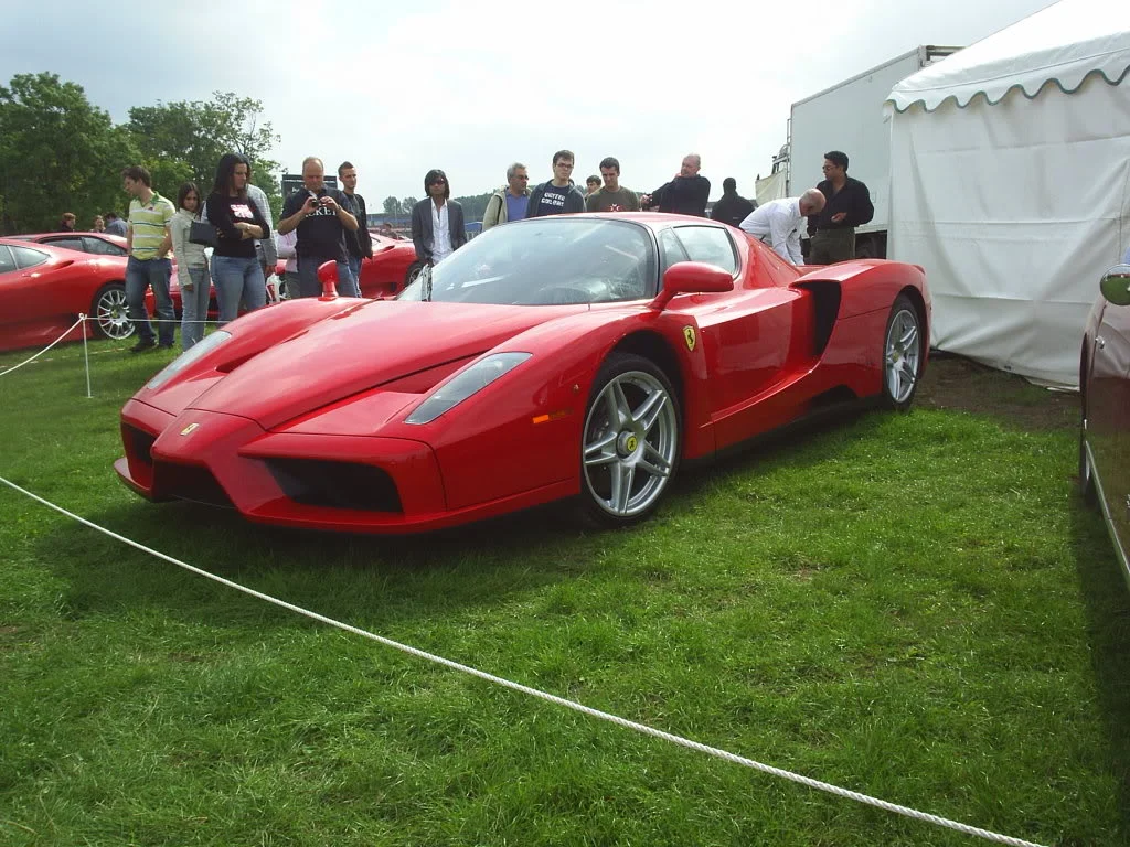 enzo.webp
