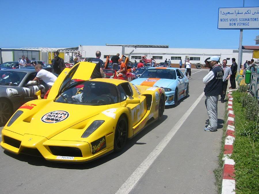 enzo1.jpg