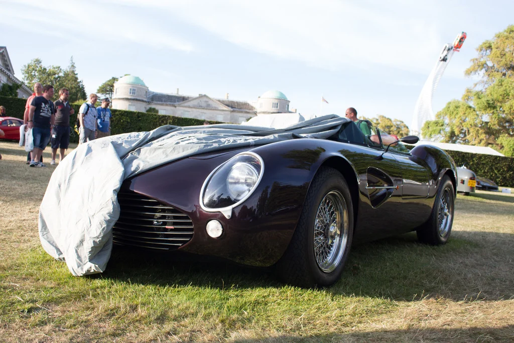 Evanta%20Barchetta%20RAW_zpszgyslq1c.webp