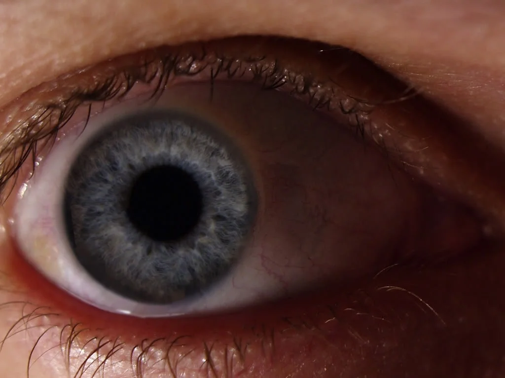 eye.webp
