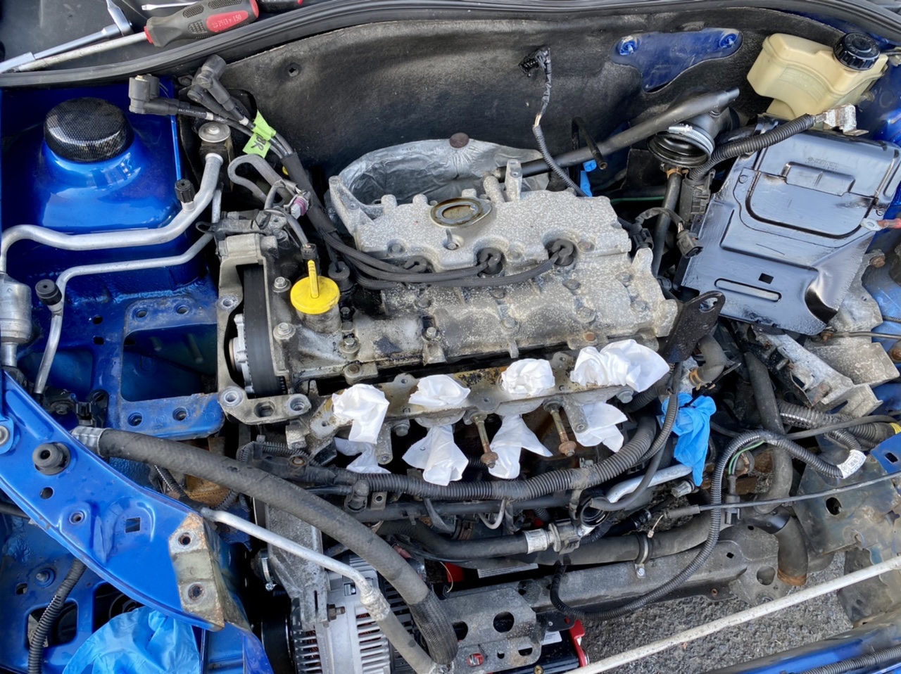 F1411028-9C5E-4F80-838B-3611456495F0.jpeg