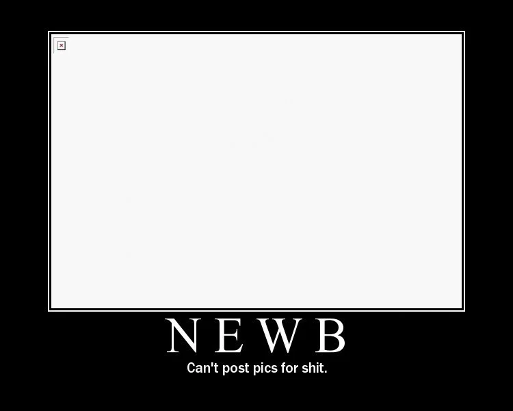 f29f3f05.webp