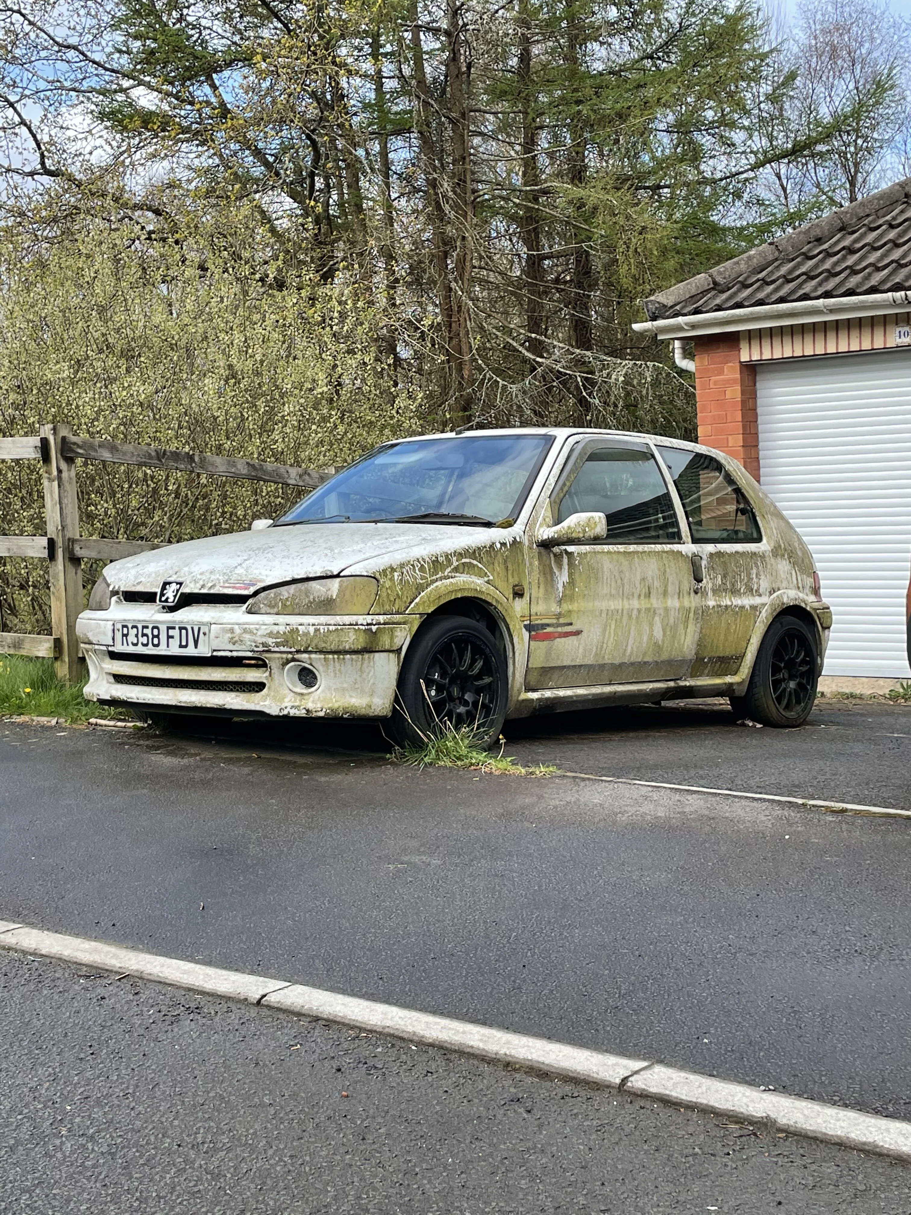 F3150886-B9B6-42CF-9376-82F02EE03603.webp