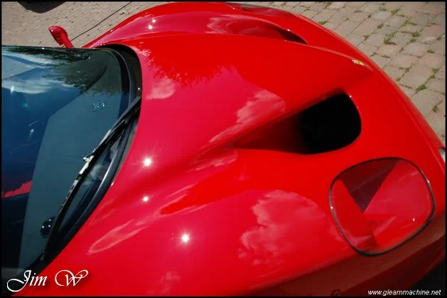 f50131wd.webp