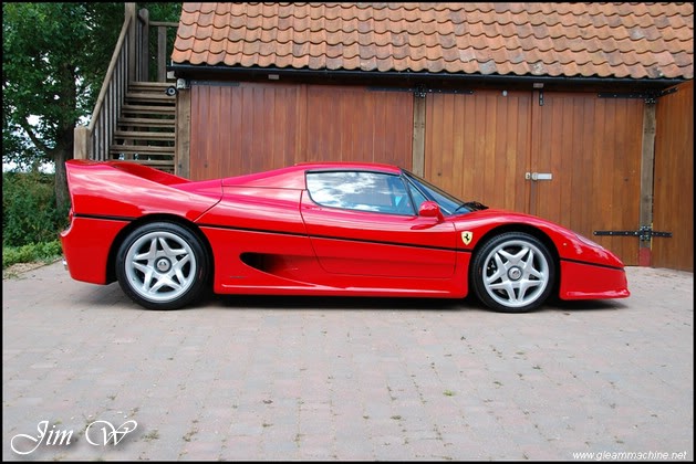 f50191wd.jpg