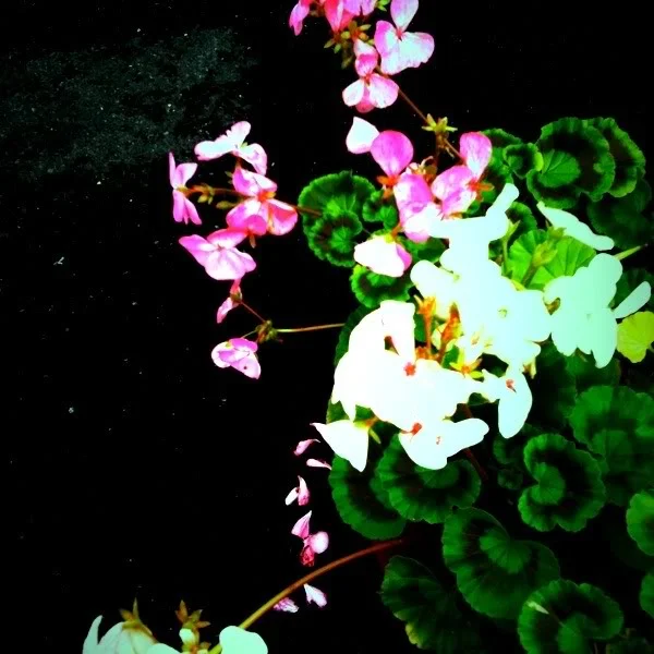f66e9192.webp