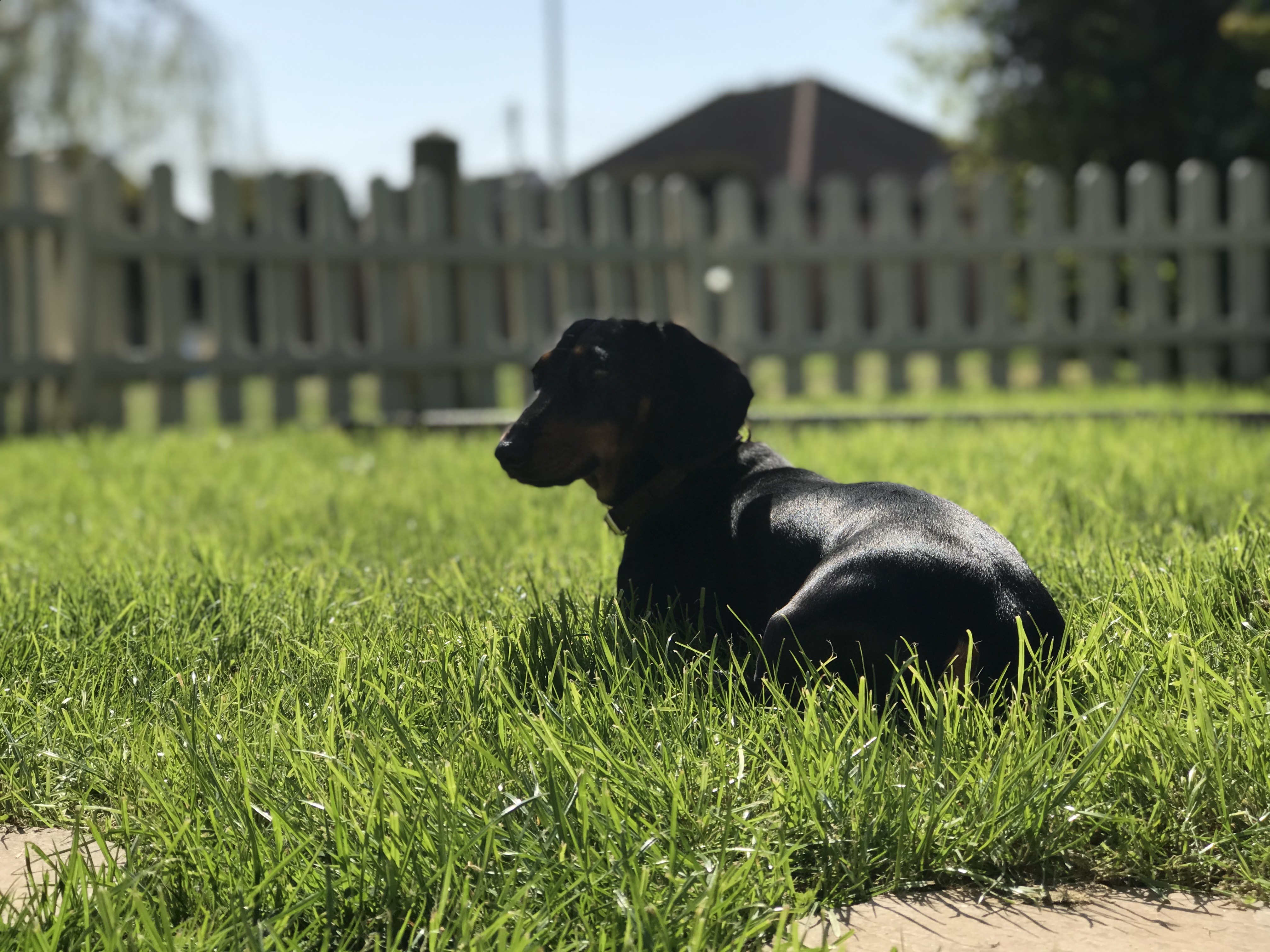 F783085B-6D3A-45D7-AE7D-0430463D5B53.jpeg