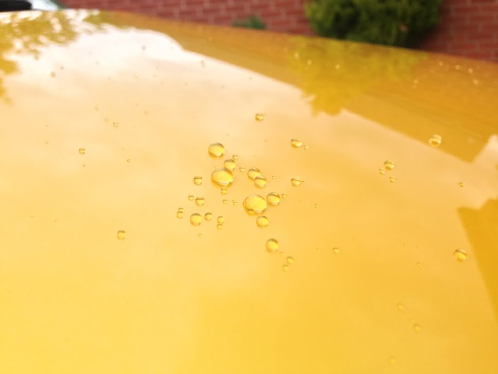 F832F4C5-5C3F-4AC2-B61D-2C438D259723-13940-000007AEAC7AFB07.jpg