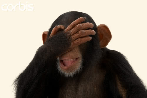 FACEPALMCHIMP.jpg