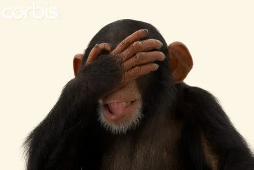 FACEPALMCHIMP.webp
