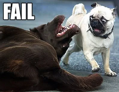 FAIL.webp