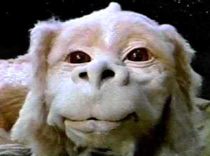 falcor.jpg