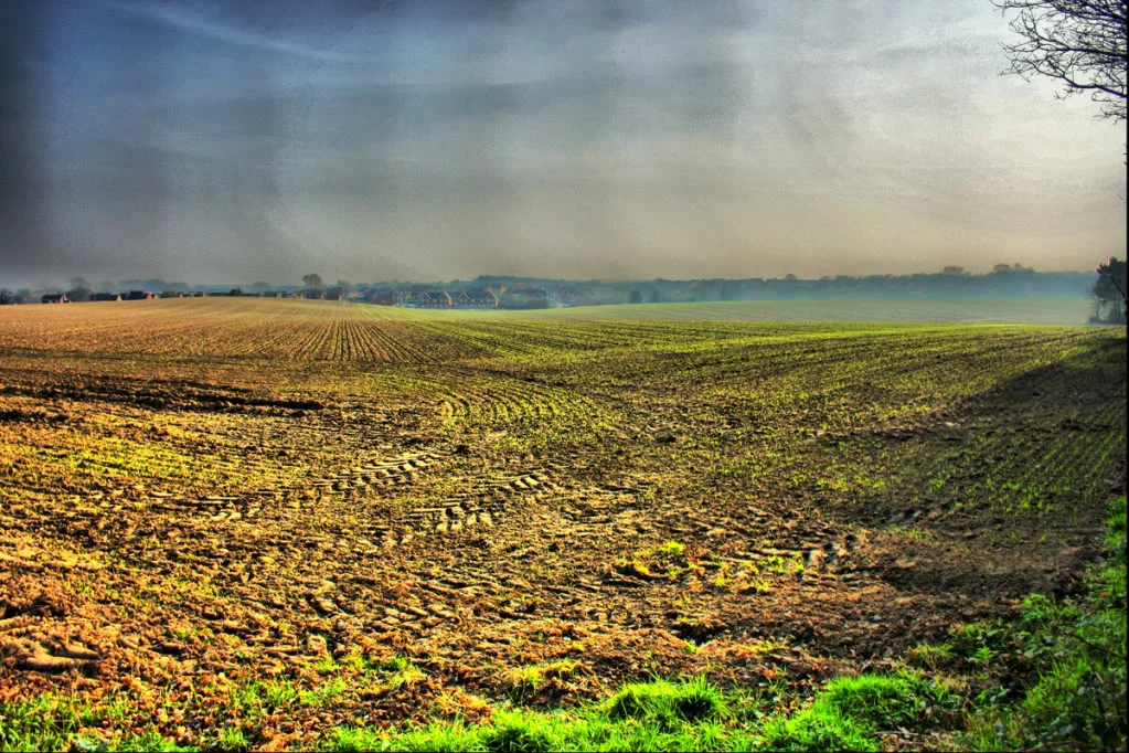 Farmerfield1.webp