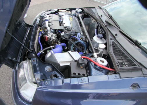 fcs09078.jpg