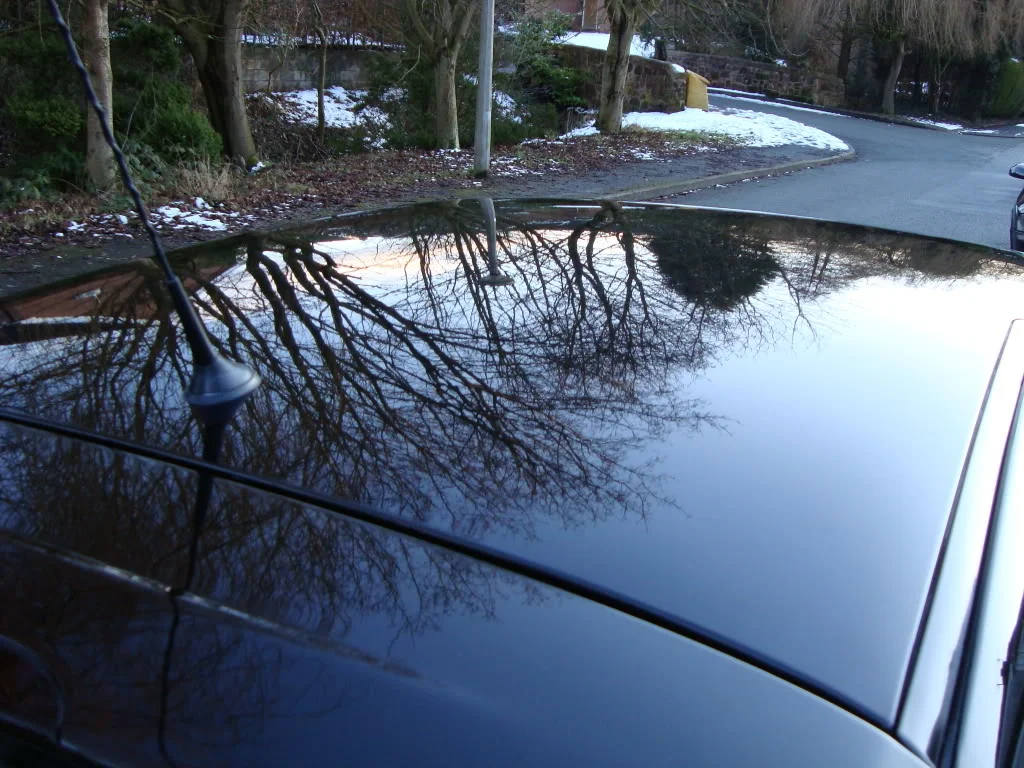 feb2010006.webp