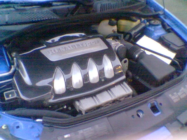 fef.webp