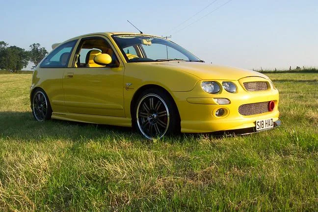 feild1.webp