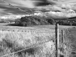 Fenced_in_by_StuMac1985.webp