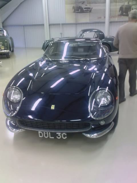 ferrari.jpg