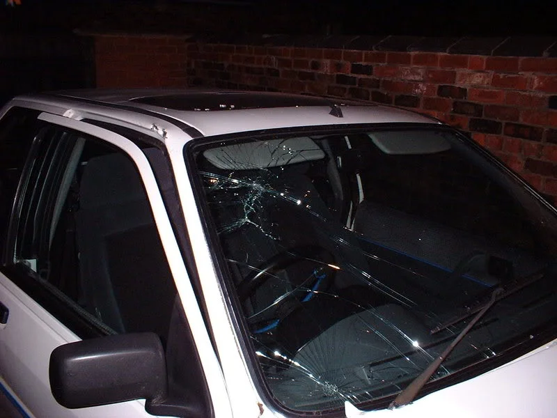 FezzieWindscreen.webp