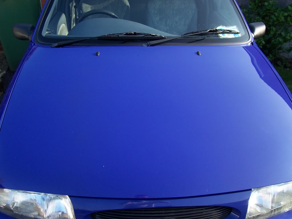 Fiesta024.jpg