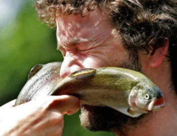 fish.webp