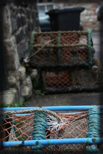 Fishnetsborder.webp