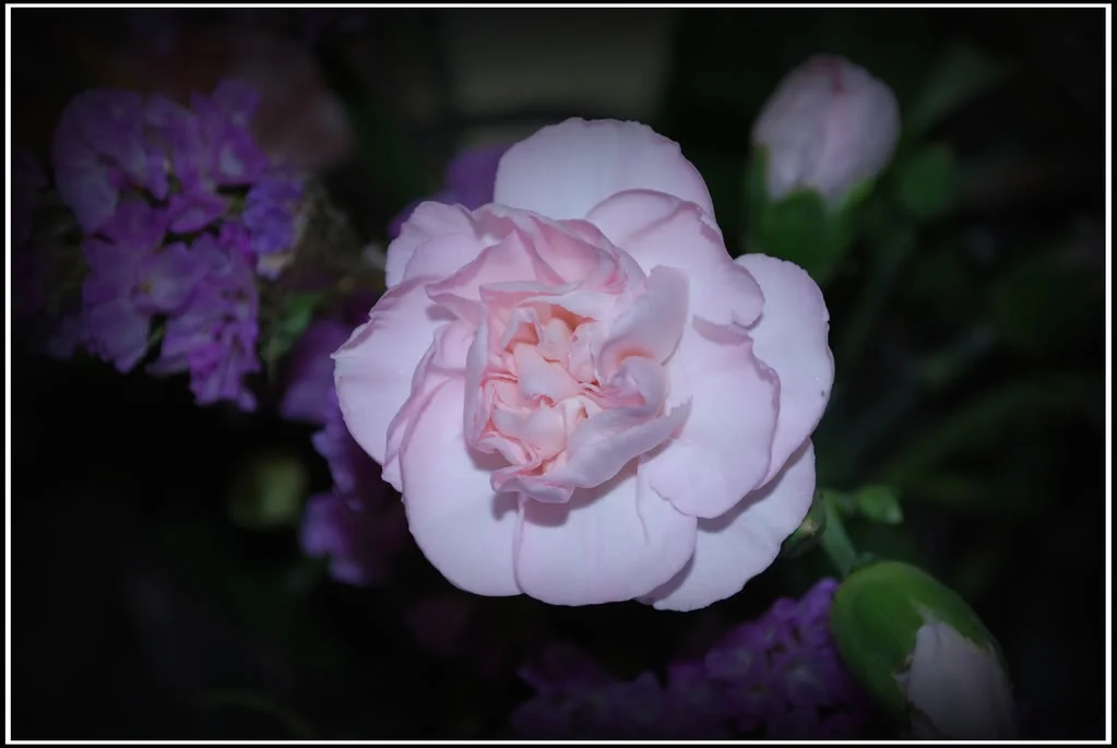 Flower.webp