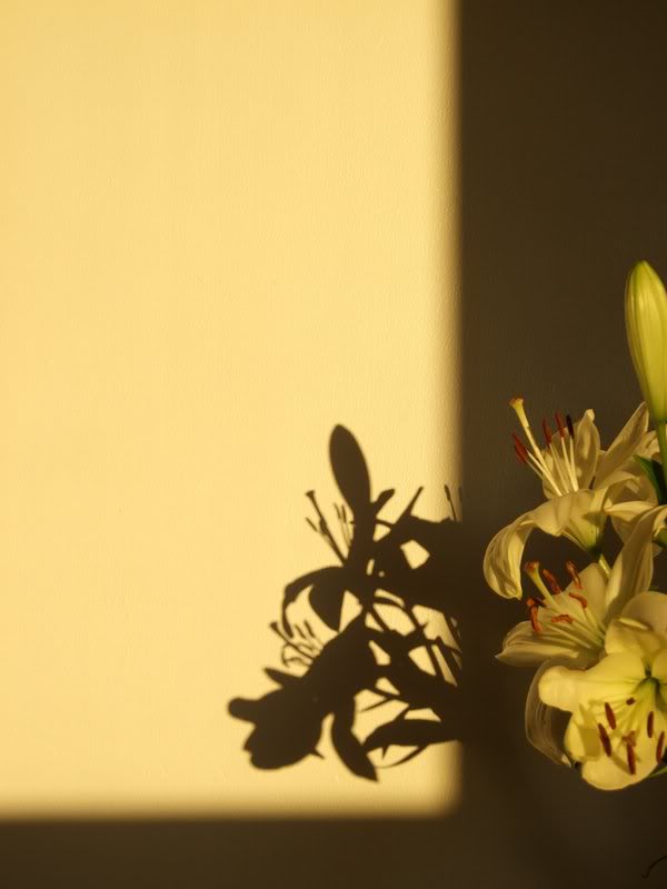 flowers-3.jpg