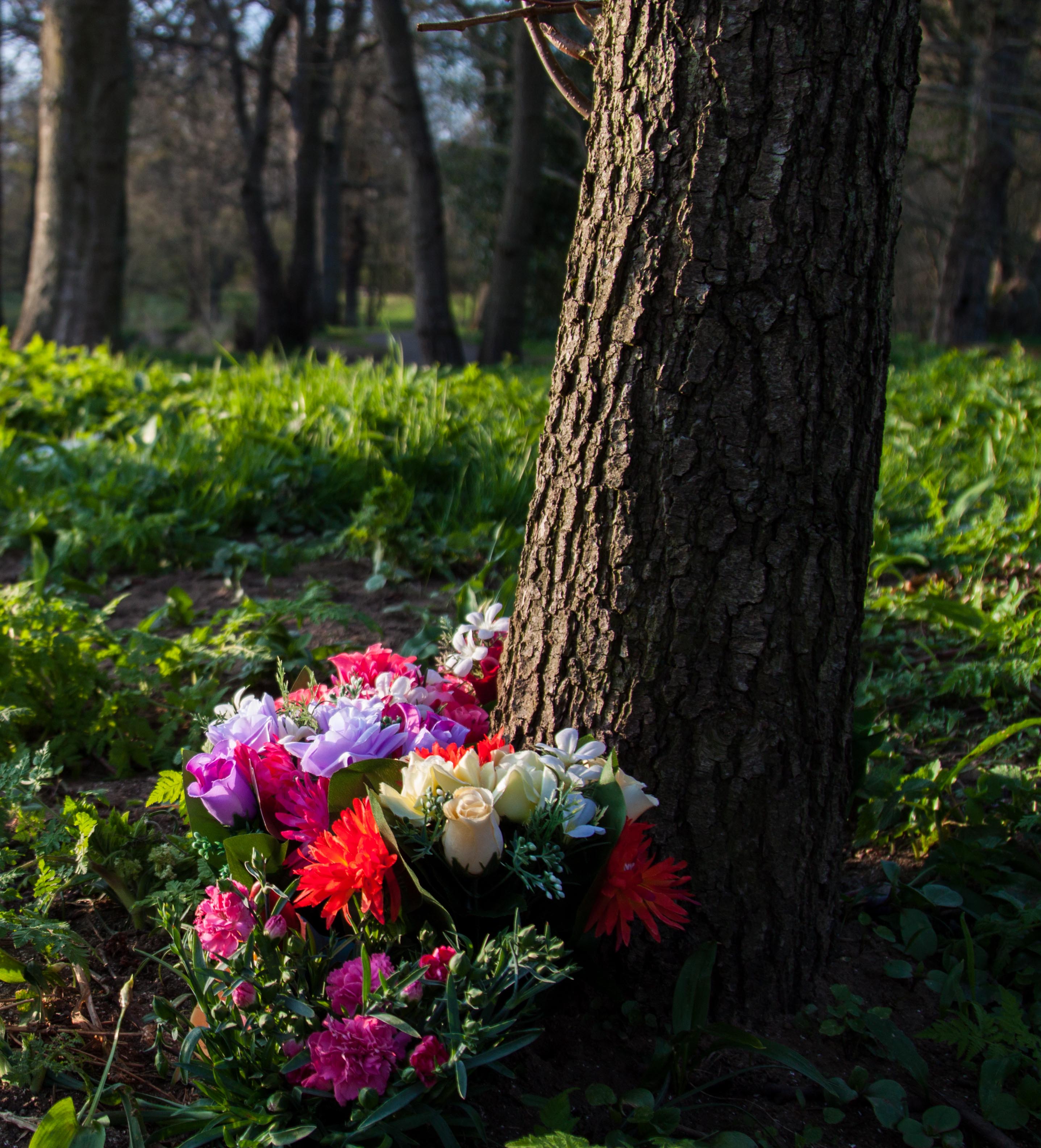 Flowers & Trees.jpg