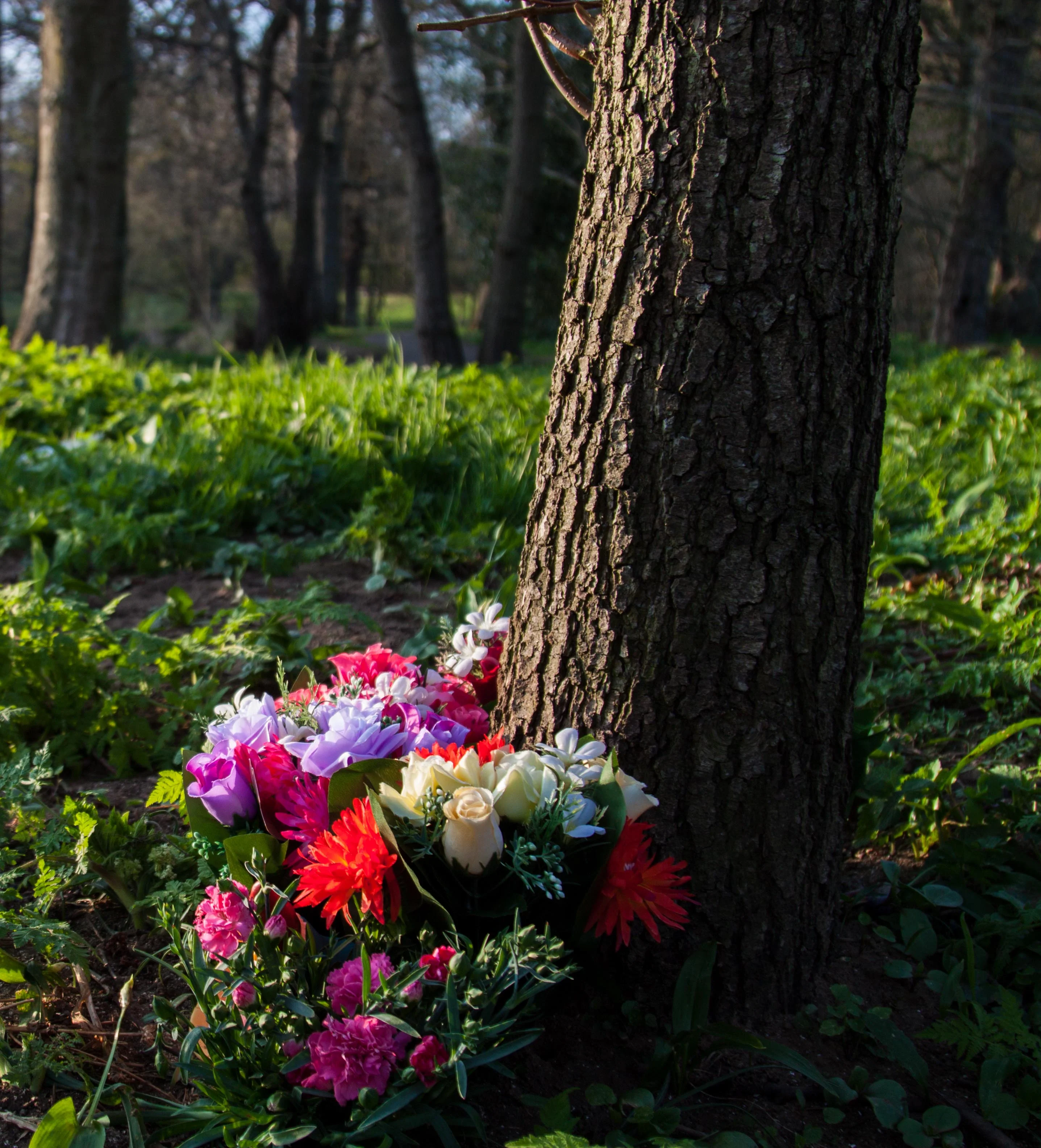 Flowers & Trees.webp